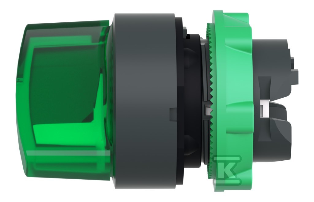 Interruptor de 2 posições verde estável - ZB5AK1233